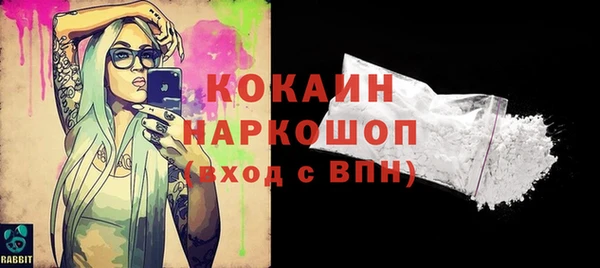 кокс Алексин