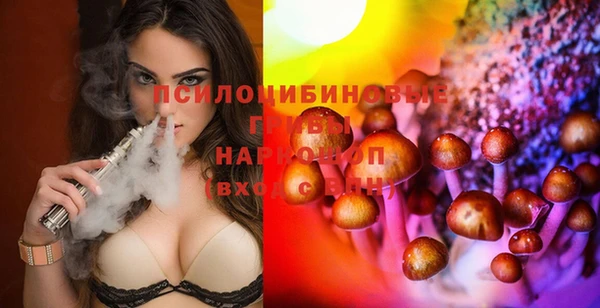 мет Арсеньев